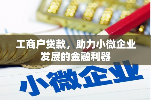 吴忠工商户贷款，助力小微企业发展的金融利器