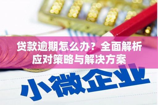 吴忠贷款逾期怎么办？全面解析应对策略与解决方案