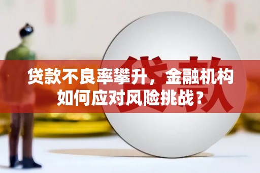 吴忠贷款不良率攀升，金融机构如何应对风险挑战？