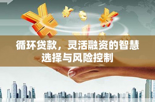 吴忠循环贷款，灵活融资的智慧选择与风险控制