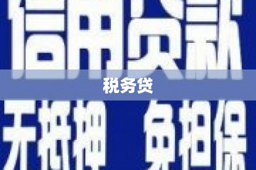 吴忠税务贷
