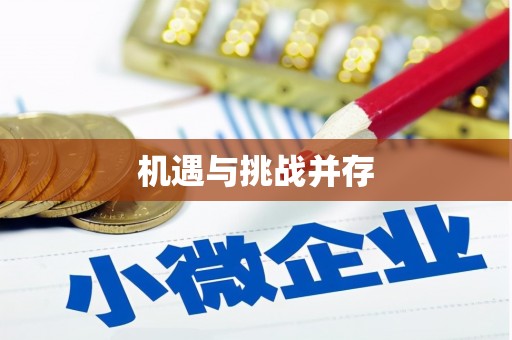 吴忠机遇与挑战并存