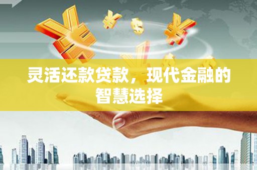 吴忠灵活还款贷款，现代金融的智慧选择