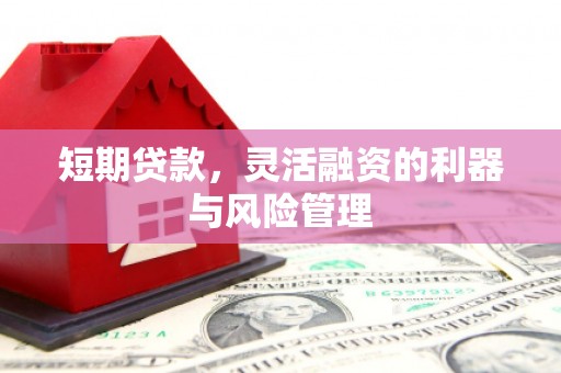 吴忠短期贷款，灵活融资的利器与风险管理