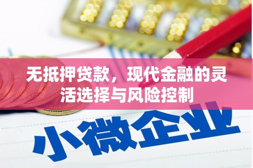 吴忠无抵押贷款，现代金融的灵活选择与风险控制