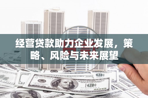吴忠经营贷款助力企业发展，策略、风险与未来展望