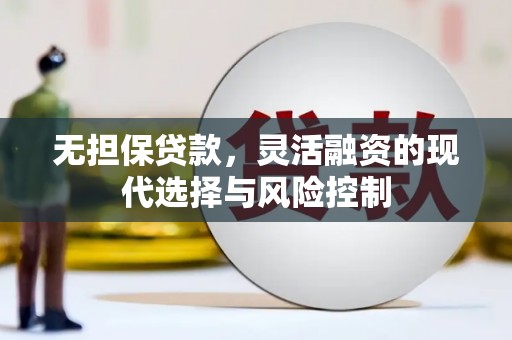 吴忠无担保贷款，灵活融资的现代选择与风险控制