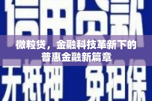 吴忠微粒贷，金融科技革新下的普惠金融新篇章