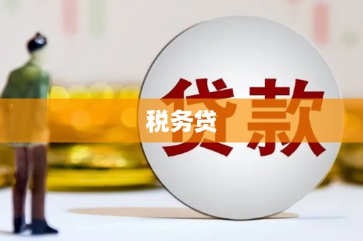 吴忠税务贷