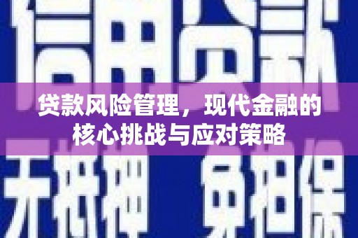 吴忠贷款风险管理，现代金融的核心挑战与应对策略