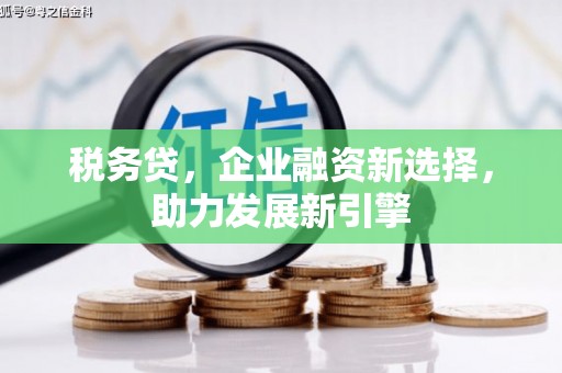 吴忠税务贷，企业融资新选择，助力发展新引擎