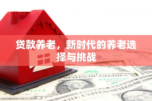 吴忠贷款养老，新时代的养老选择与挑战