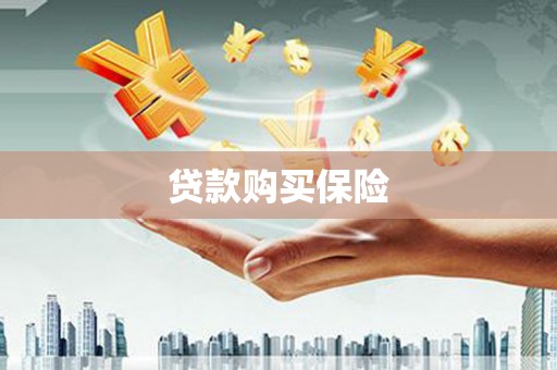 吴忠贷款购买保险
