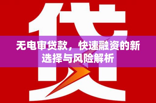 吴忠无电审贷款，快速融资的新选择与风险解析