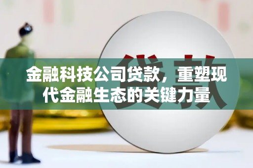 吴忠金融科技公司贷款，重塑现代金融生态的关键力量