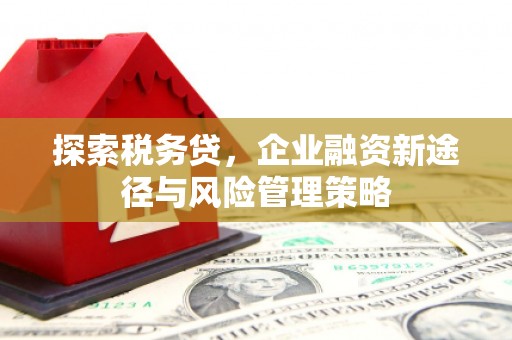 吴忠探索税务贷，企业融资新途径与风险管理策略