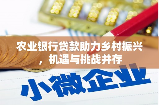 吴忠农业银行贷款助力乡村振兴，机遇与挑战并存