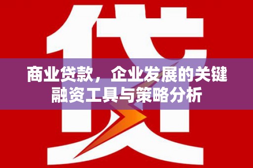 吴忠商业贷款，企业发展的关键融资工具与策略分析