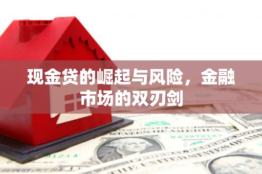 吴忠现金贷的崛起与风险，金融市场的双刃剑
