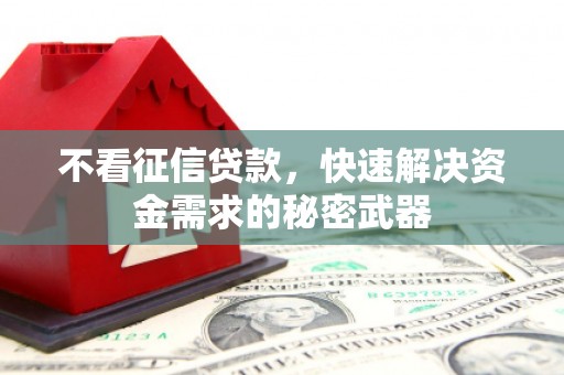 吴忠不看征信贷款，快速解决资金需求的秘密武器