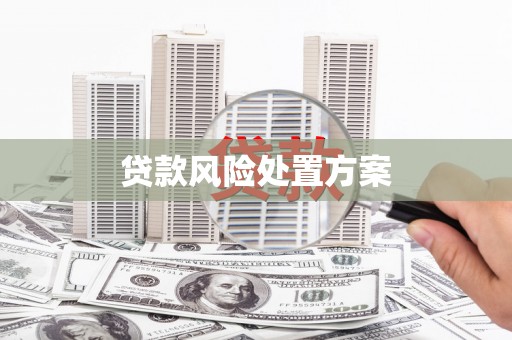 吴忠贷款风险处置方案
