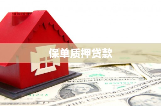 吴忠保单质押贷款