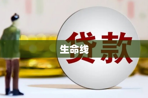 吴忠生命线