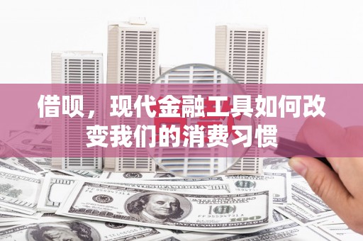 吴忠借呗，现代金融工具如何改变我们的消费习惯