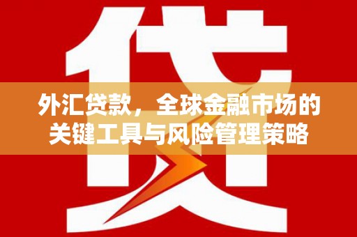 吴忠外汇贷款，全球金融市场的关键工具与风险管理策略
