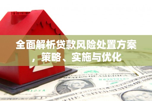 吴忠全面解析贷款风险处置方案，策略、实施与优化
