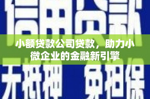 吴忠小额贷款公司贷款，助力小微企业的金融新引擎