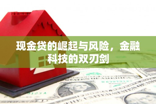 吴忠现金贷的崛起与风险，金融科技的双刃剑