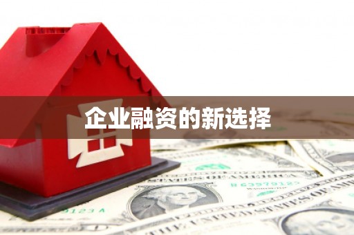 吴忠企业融资的新选择