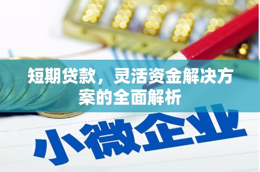 吴忠短期贷款，灵活资金解决方案的全面解析