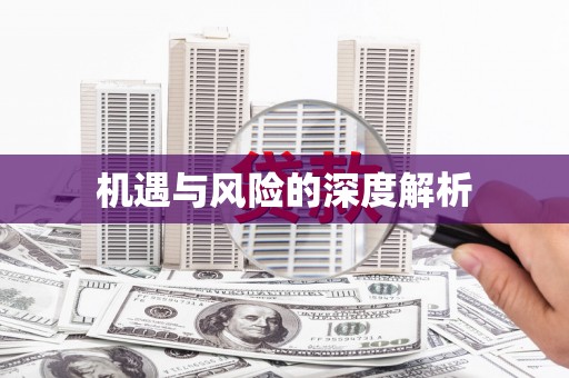 吴忠机遇与风险的深度解析