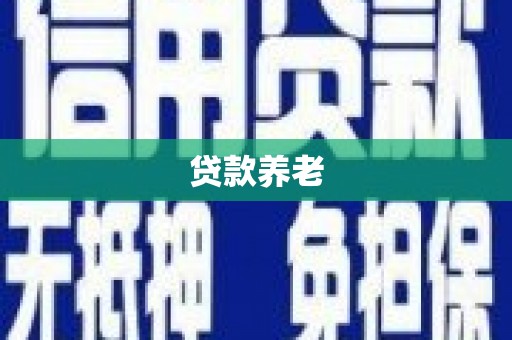 吴忠贷款养老