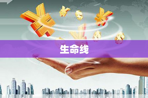 吴忠生命线