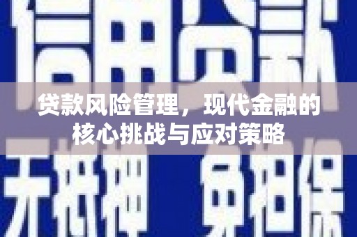 吴忠贷款风险管理，现代金融的核心挑战与应对策略