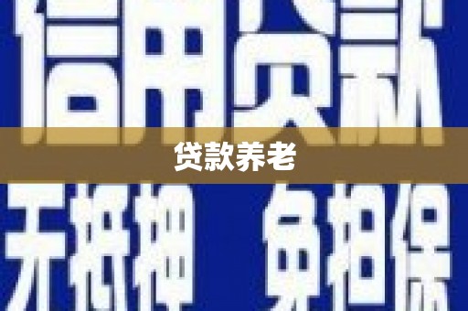 吴忠贷款养老
