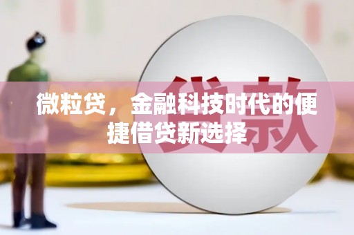吴忠微粒贷，金融科技时代的便捷借贷新选择