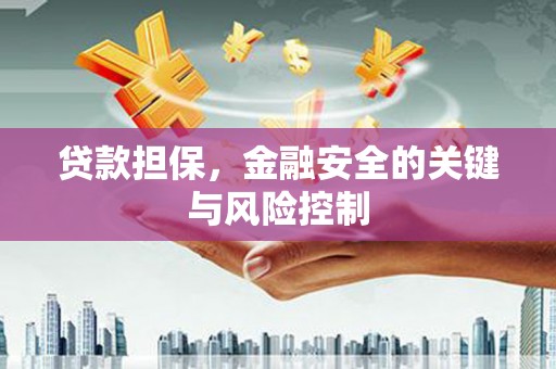 吴忠贷款担保，金融安全的关键与风险控制