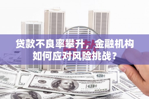 吴忠贷款不良率攀升，金融机构如何应对风险挑战？