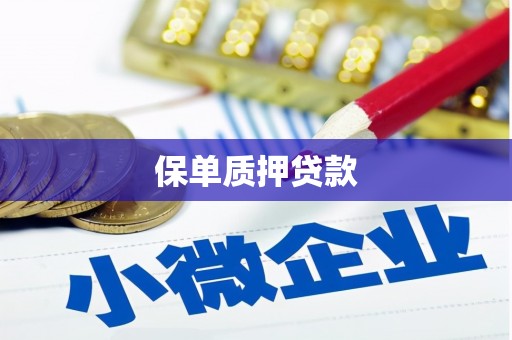 吴忠保单质押贷款