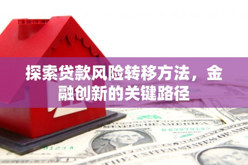 吴忠探索贷款风险转移方法，金融创新的关键路径