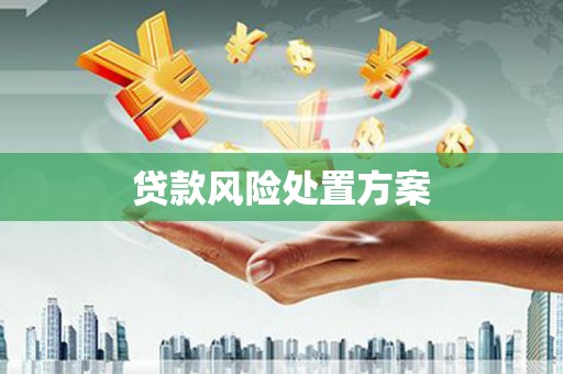 吴忠贷款风险处置方案