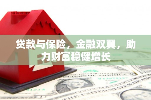 吴忠贷款与保险，金融双翼，助力财富稳健增长