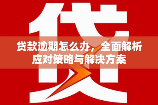 吴忠贷款逾期怎么办，全面解析应对策略与解决方案