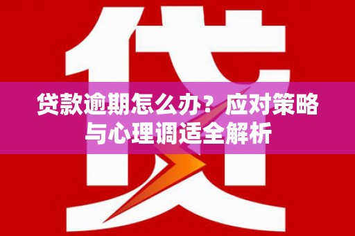 吴忠贷款逾期怎么办？应对策略与心理调适全解析
