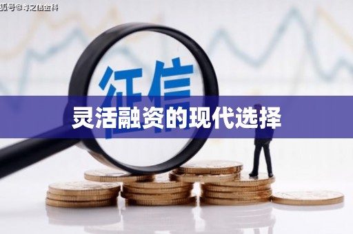 吴忠灵活融资的现代选择