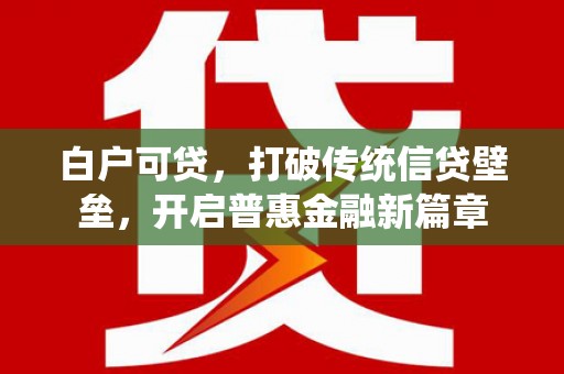 吴忠白户可贷，打破传统信贷壁垒，开启普惠金融新篇章